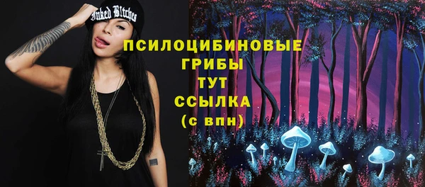 шишки Богданович