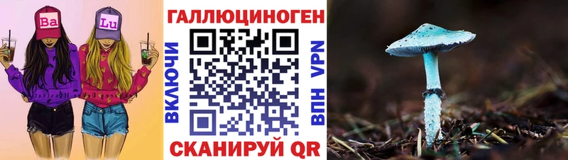 OMG как войти  цены   Кадников  Галлюциногенные грибы GOLDEN TEACHER 